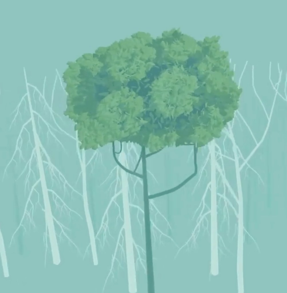 The first tree, in Quill