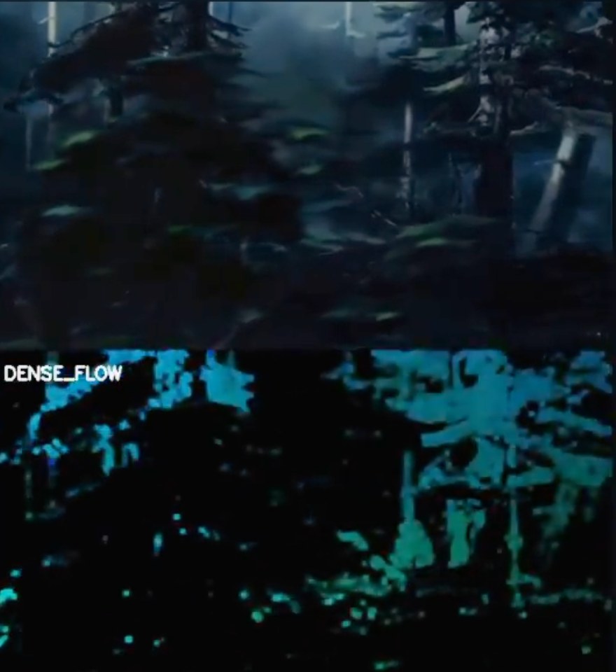 Optical flow on the opening shot of Bambi: the frame, and its dense flow