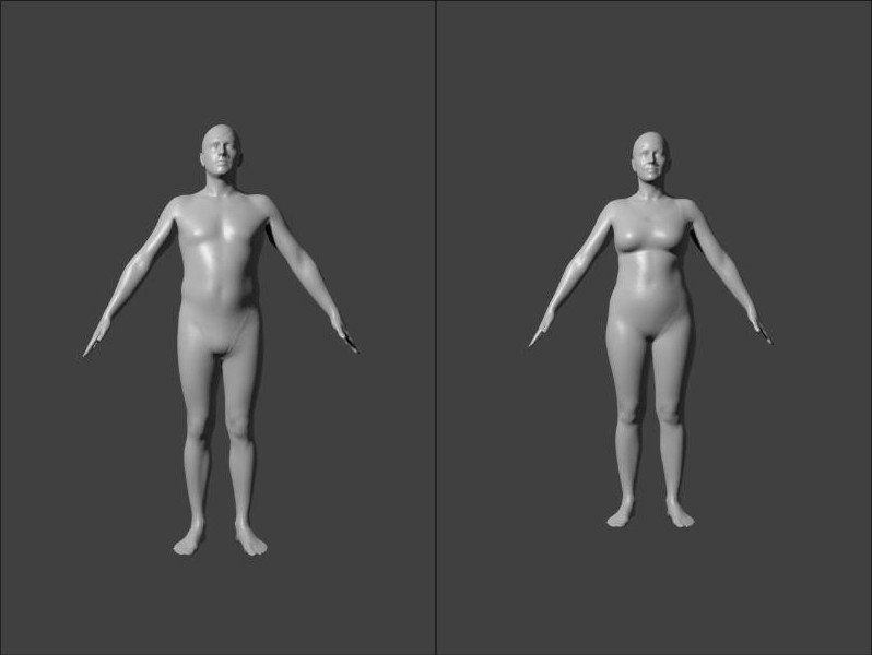 Golem's first renders: the average male and female bodies