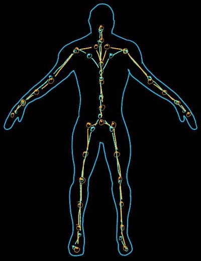 The two armatures overlaid after alignment