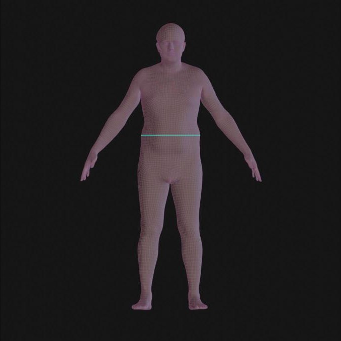 Waist circumference